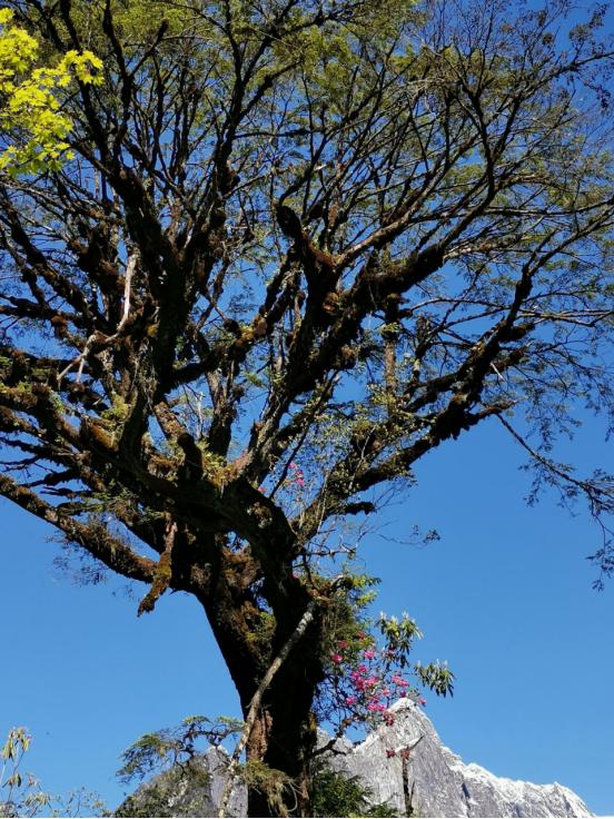 海螺沟燕子沟四日游,海螺沟燕子沟风景区