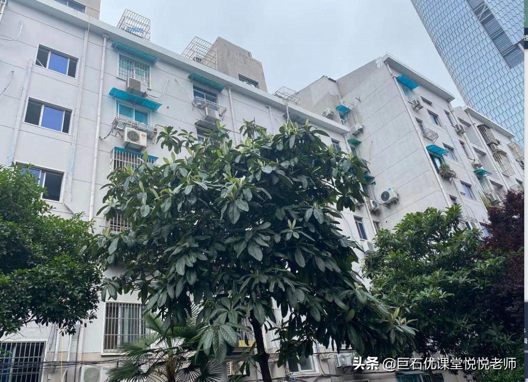 科利华中学学区房哪个比较新,科利华学区房最新消息