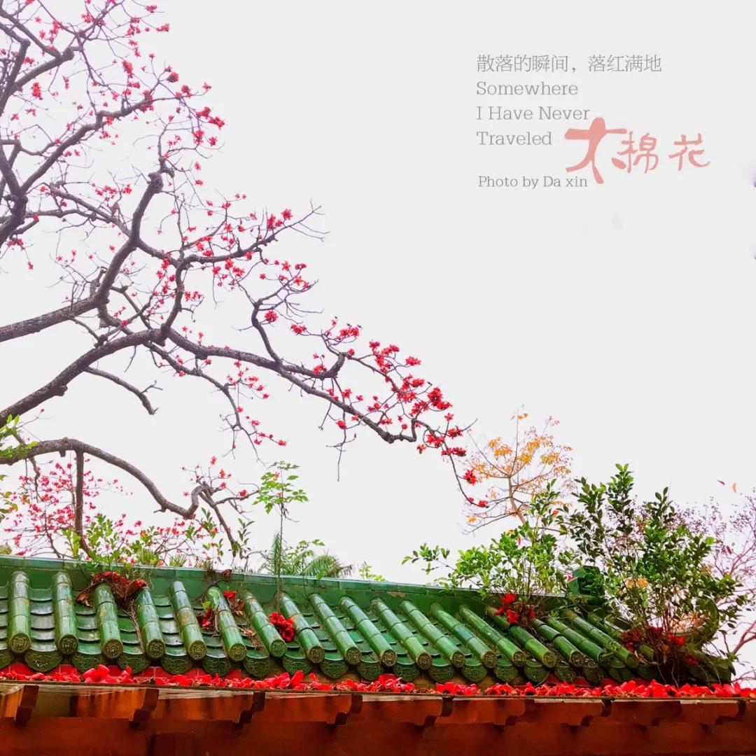 惠州亮灯为武汉加油,惠州武汉加油