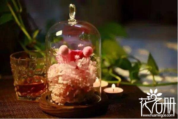 永生花有哪些,永生花是通过什么工艺永远不凋谢