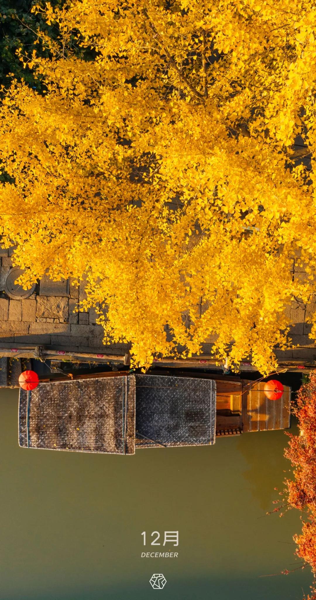 新年横屏壁纸2023超高清壁纸,苏州壁纸横屏