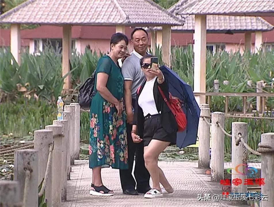 迷人！这里的“花中睡美人”盛开了