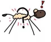 100%绵羊毛羊毛衫怎么清洗防缩水,纯绵羊羊毛衫洗后缩水多少公分