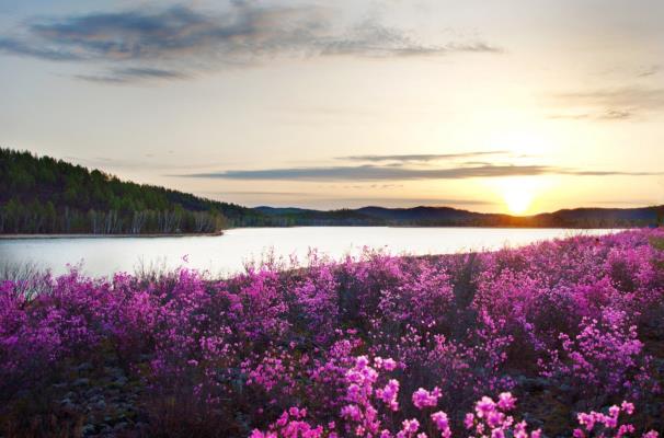 鄂伦春文化旅游,鄂伦春走向全国