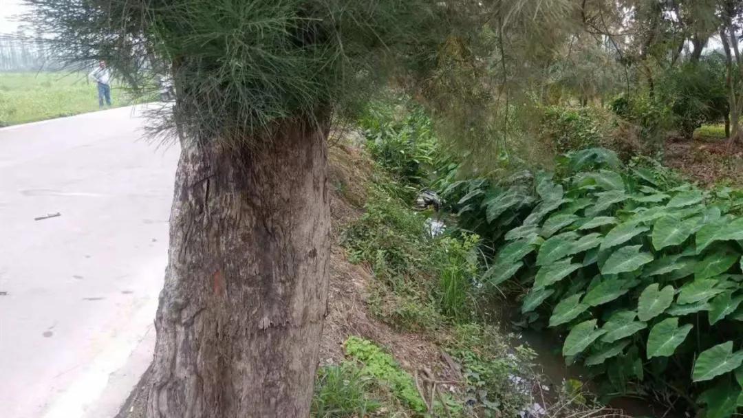 斗门8年驾龄老司机开宝马冲下鱼塘！河水即将淹没车顶，关键时刻死里逃生！