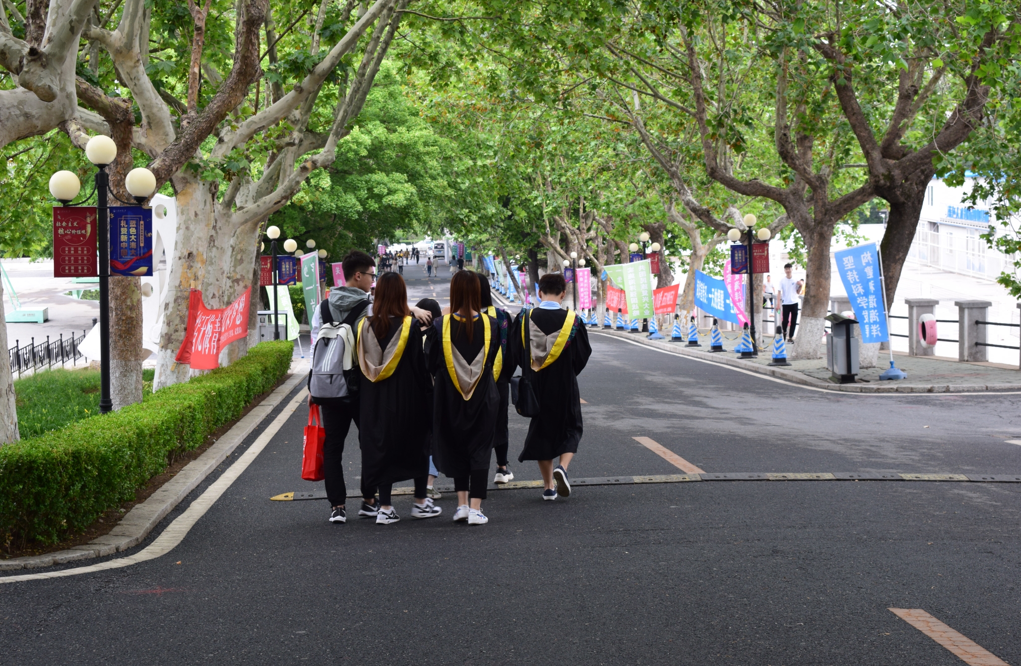 大连海洋大学和辽宁科技大学哪个更强势一些,报考哪个学校比较好