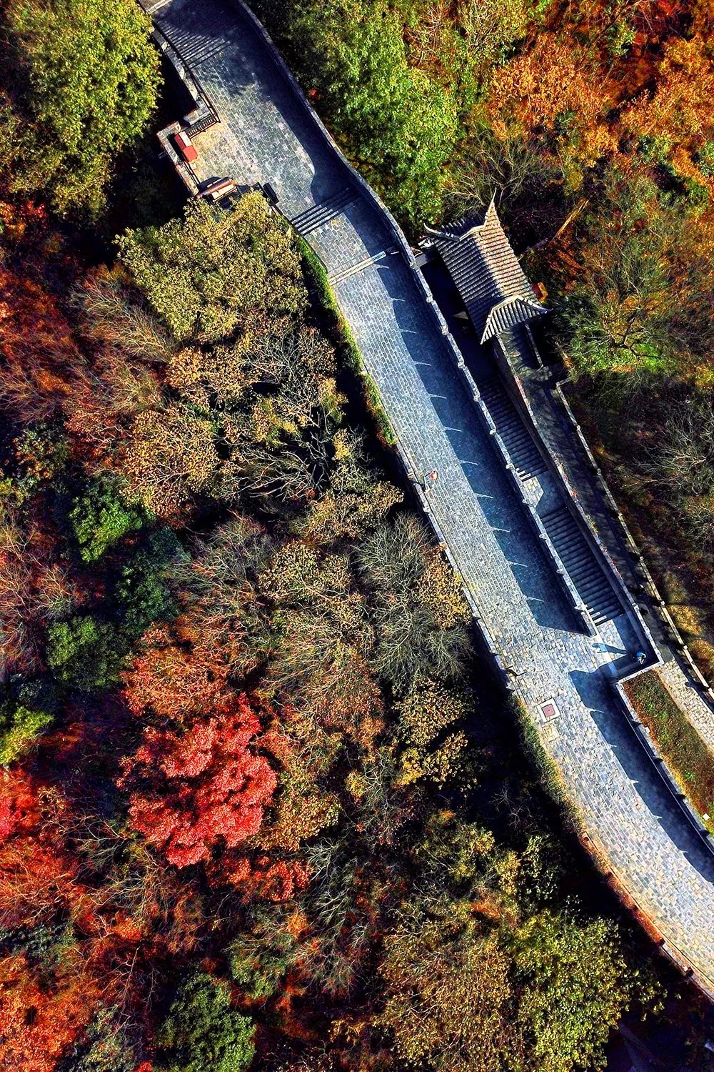 被严重低估的旅行地！如果你来江南古城常熟，我会带你去这里