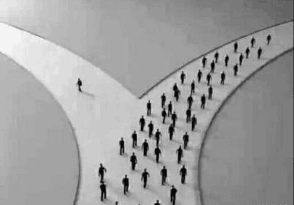 不合群是为了走得更远,不合群是真的孤独