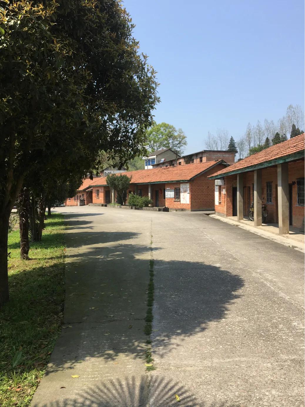 大山里三线厂旧址,谷城县今年有啥重大工程