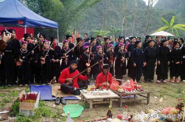 广西金秀最大镇,广西金秀有哪些乡镇