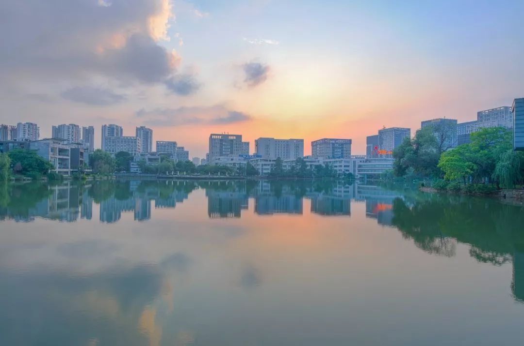 光谷软件园美景,这样的新科技你见过吗