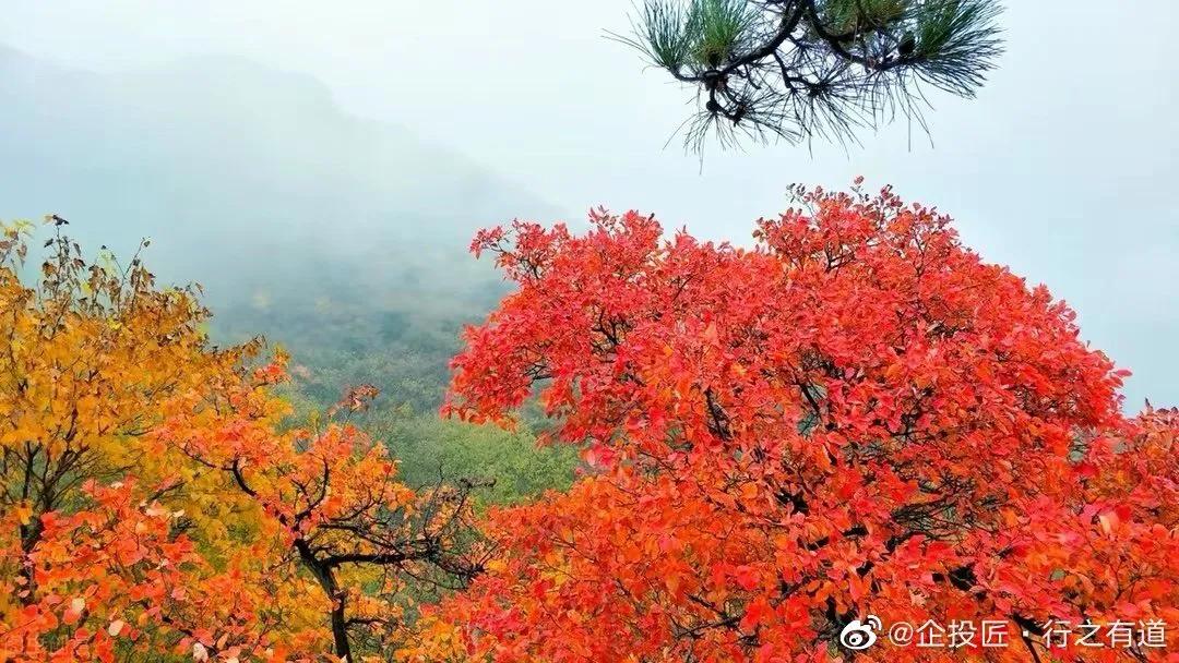 《庄子》原文·译文大全·四部曲之四20211115