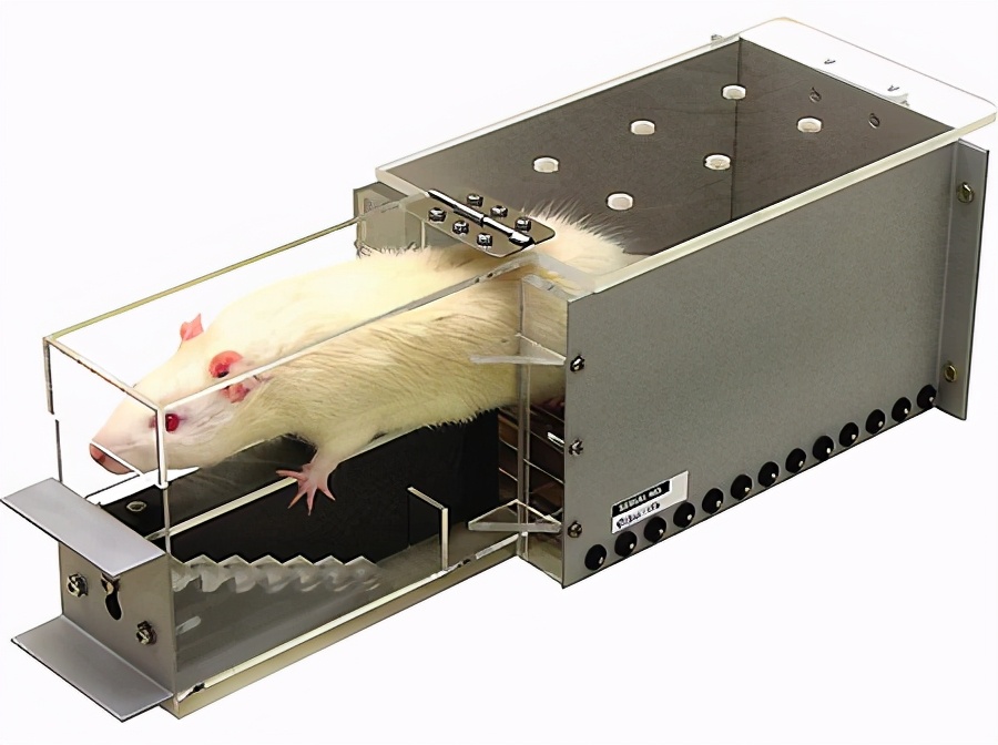 大面积脑梗塞后遗症能治愈吗,脑梗塞后遗症两年了还能治疗吗