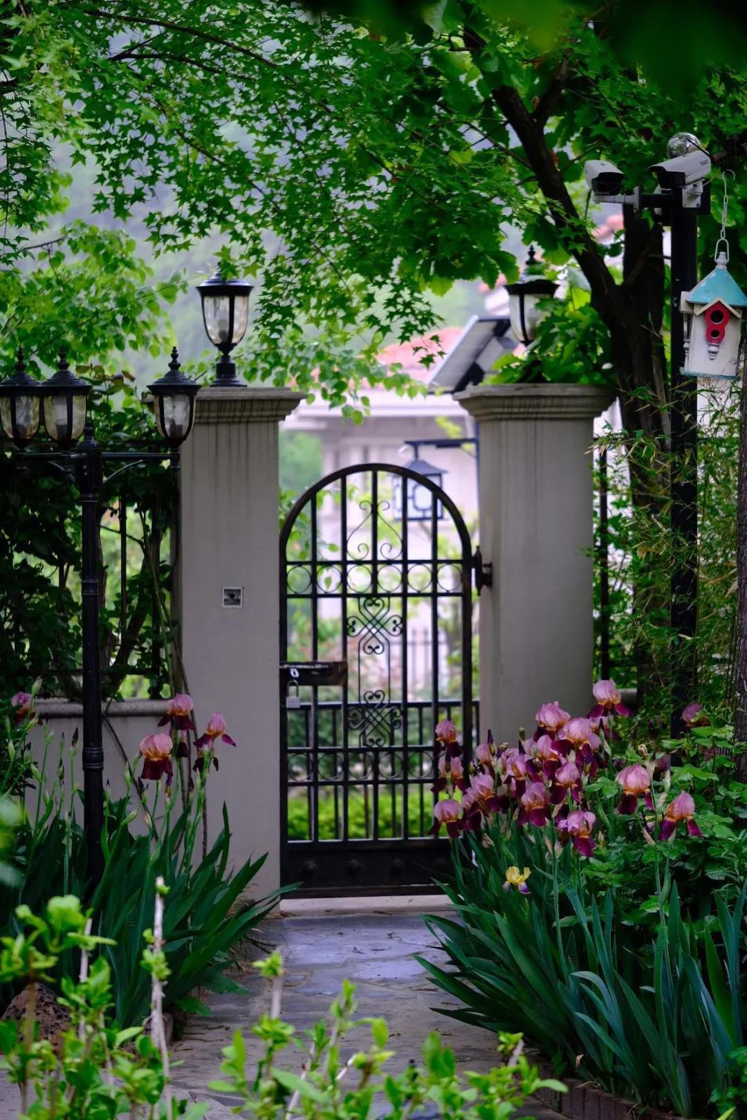 东北花园四季开花植物,北方一年四季都开花的花园