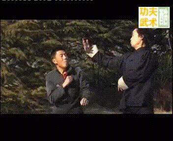 经典武术格斗技巧,各种武术格斗技巧