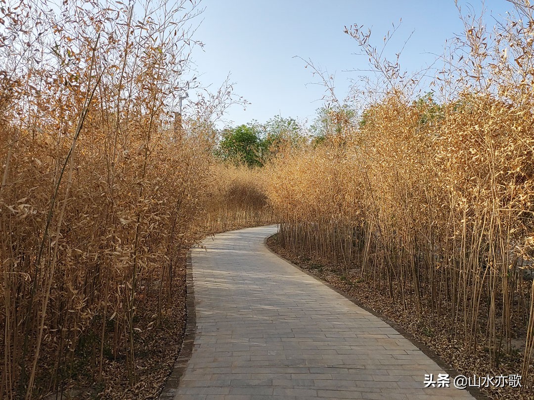 石家庄有个天然氧吧,石家庄天然氧吧旅游景点