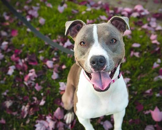 写作基础很差怎么办,写作基础太差怎么办