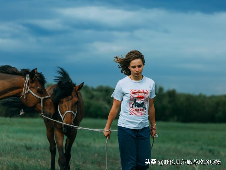 游呼伦贝尔大草原作文游览顺序,呼伦贝尔大草原游览视频