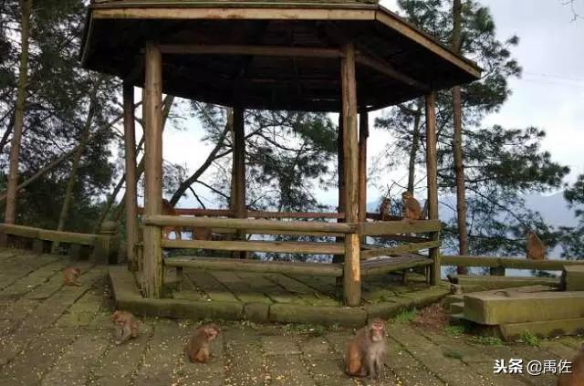 重庆亲子自驾游路线,重庆周边自驾亲子游3-4天最佳路线