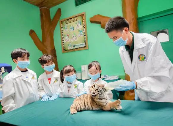 长隆野生动物世界暑假攻略,广州长隆野生动物园亲子一日游攻略