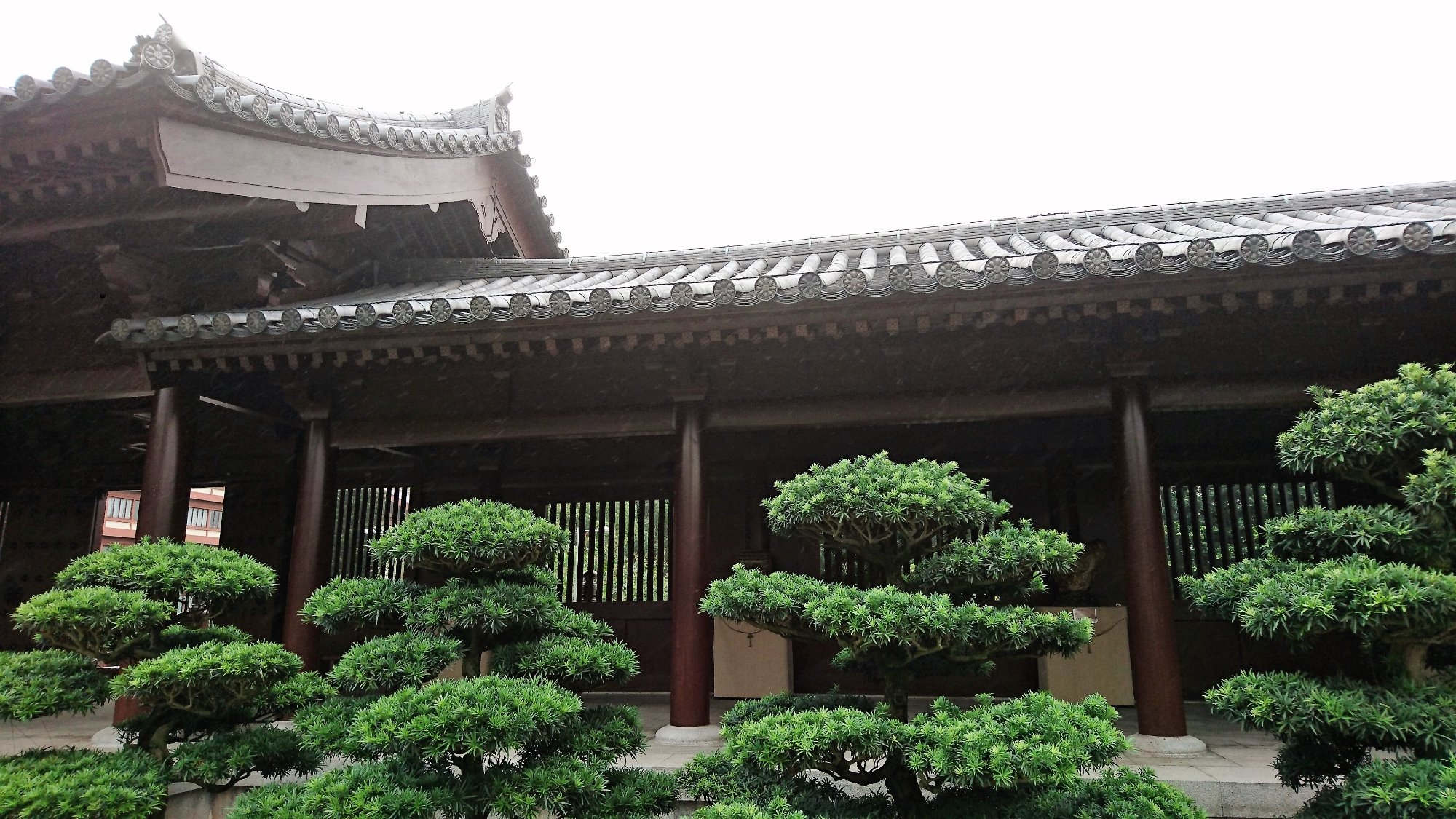 香港志莲净苑地图,香港志莲净苑好玩吗