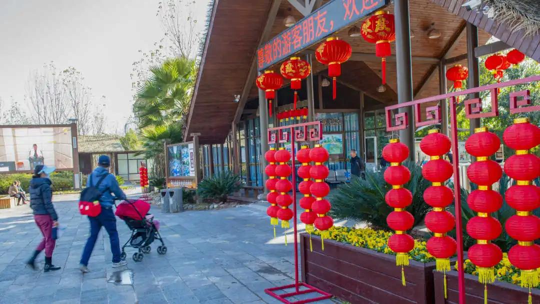 邛海湿地公园旅游攻略路线,西昌邛海住民宿攻略