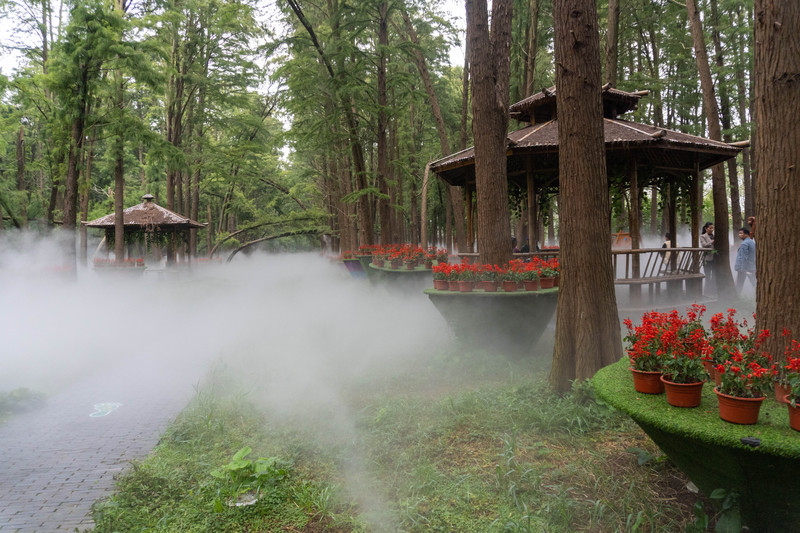 乘着动车去旅行,乘着高铁游扬州高邮北