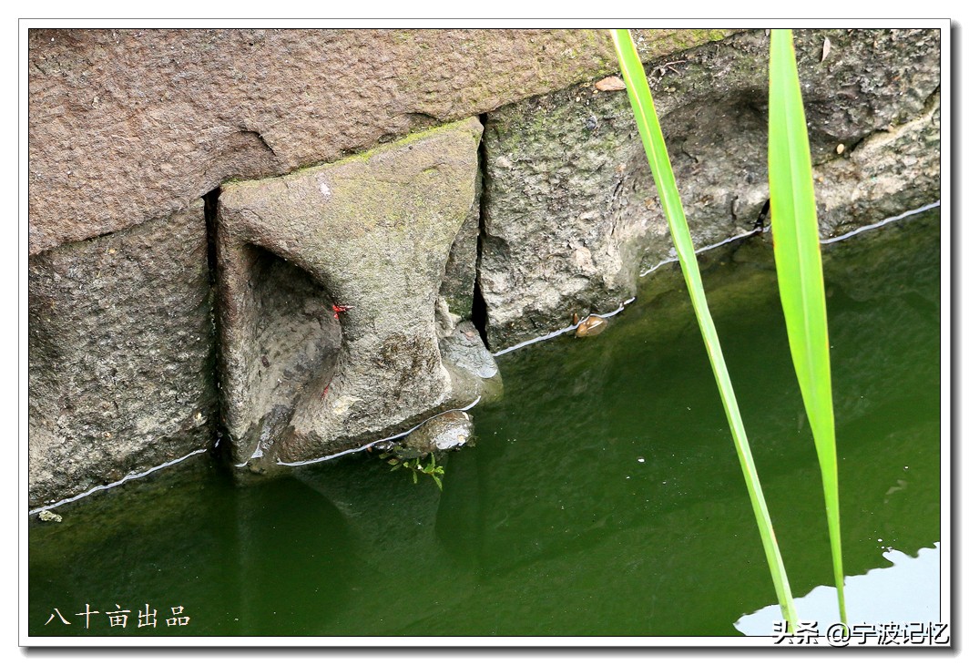 宁波镇海古村落景点介绍,镇海十大古村落