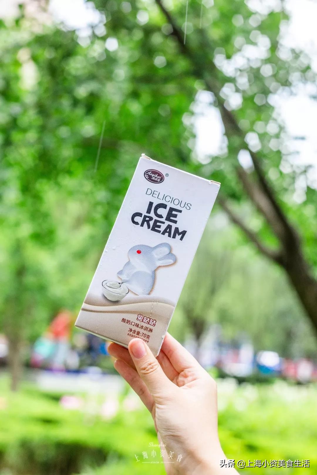 国内崛起的雪糕,中国风网红雪糕