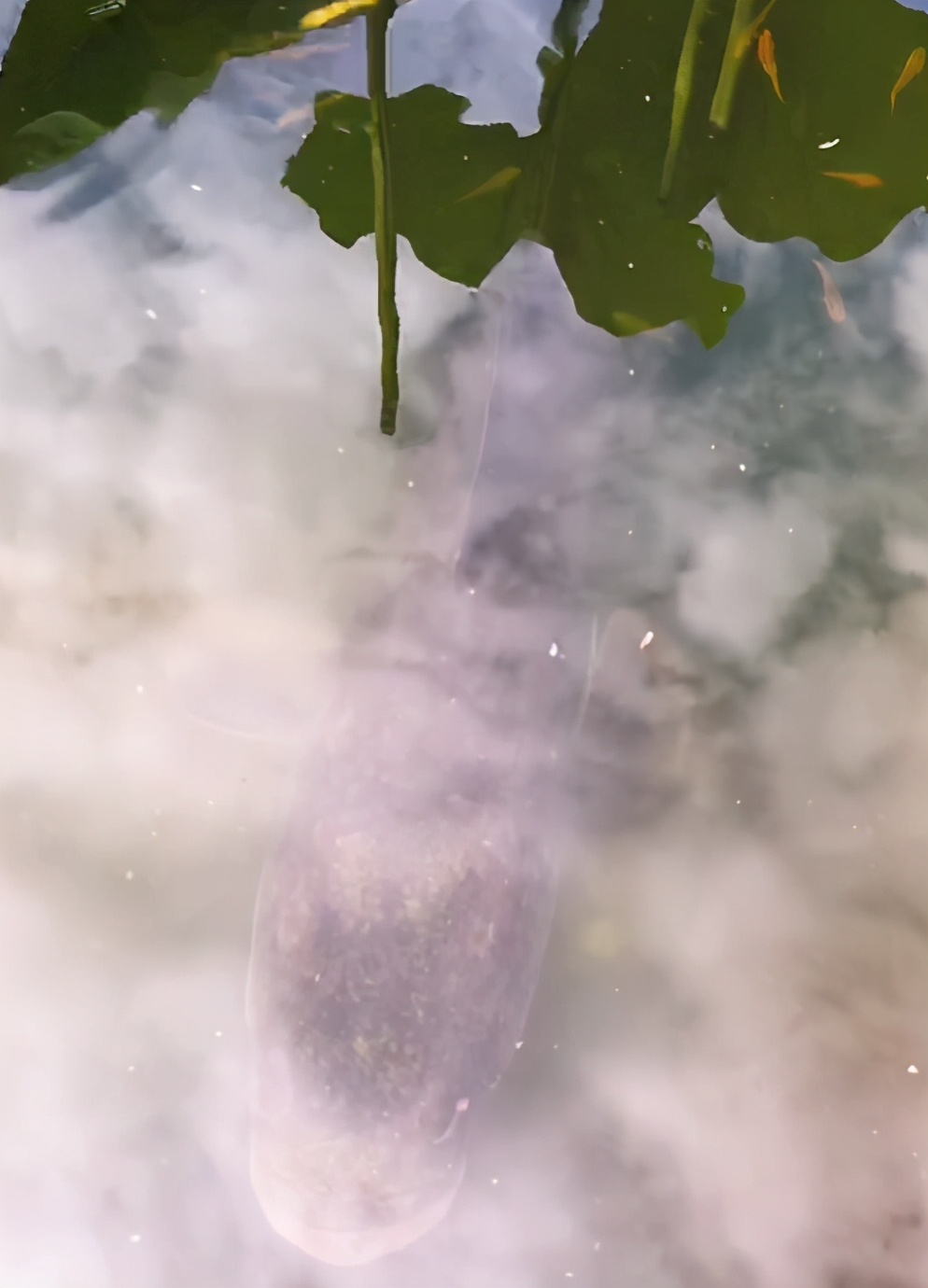 浙江一男子钓鱼差点被鱼拉下水,男子钓鱼被鱼咬后续