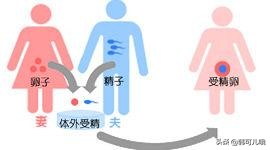 出租子宫，少女躺赢150万？