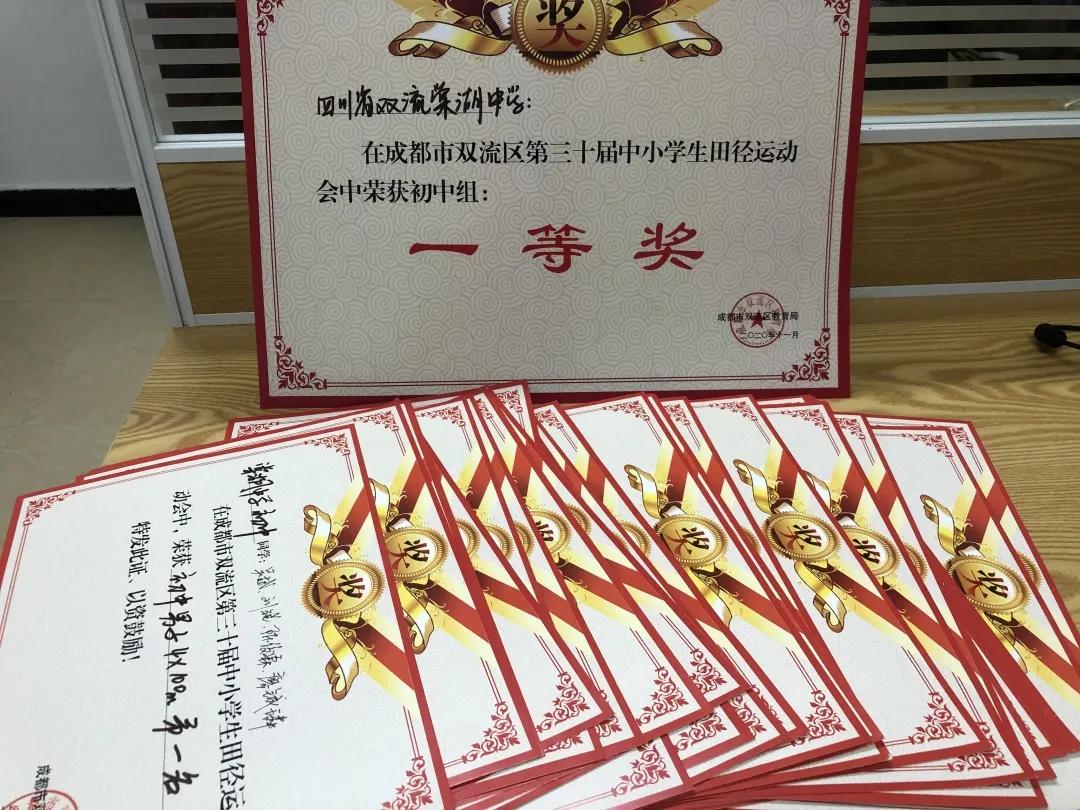 勇夺团体第一名,勇夺一等奖作品