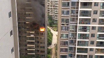 灭蚊拍能电死人吗,电蚊香拍人危险吗