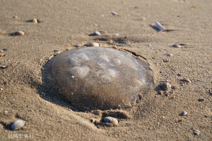海牙国际法庭的位置,荷兰海牙国际法庭中国是成员吗