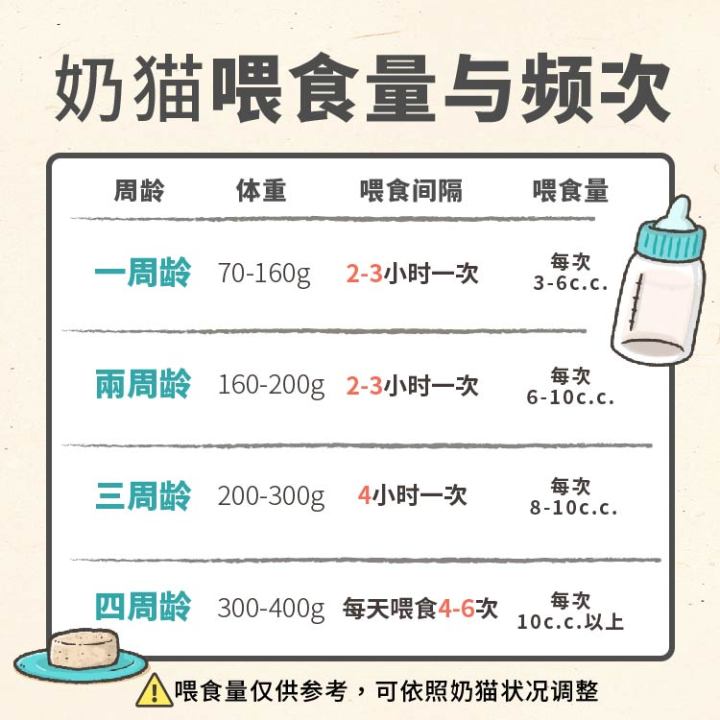 刚买的幼猫怎么养正确方法图文,养幼猫怎么教用猫砂