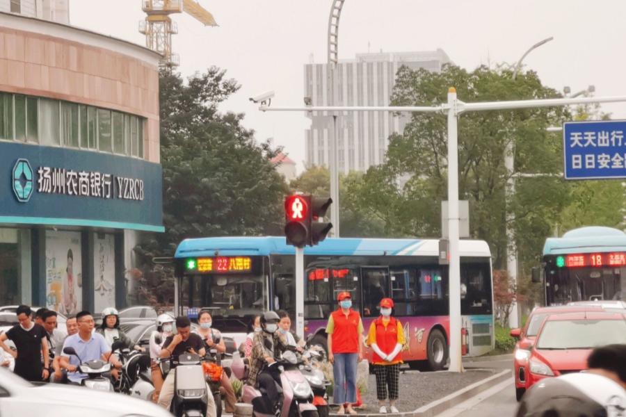 青春实践行NO.11|志愿者们的扬州“百景”，等你来赏