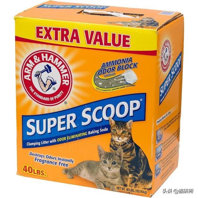猫砂世界最重要的发明之一,为什么说猫砂是伟大的发明