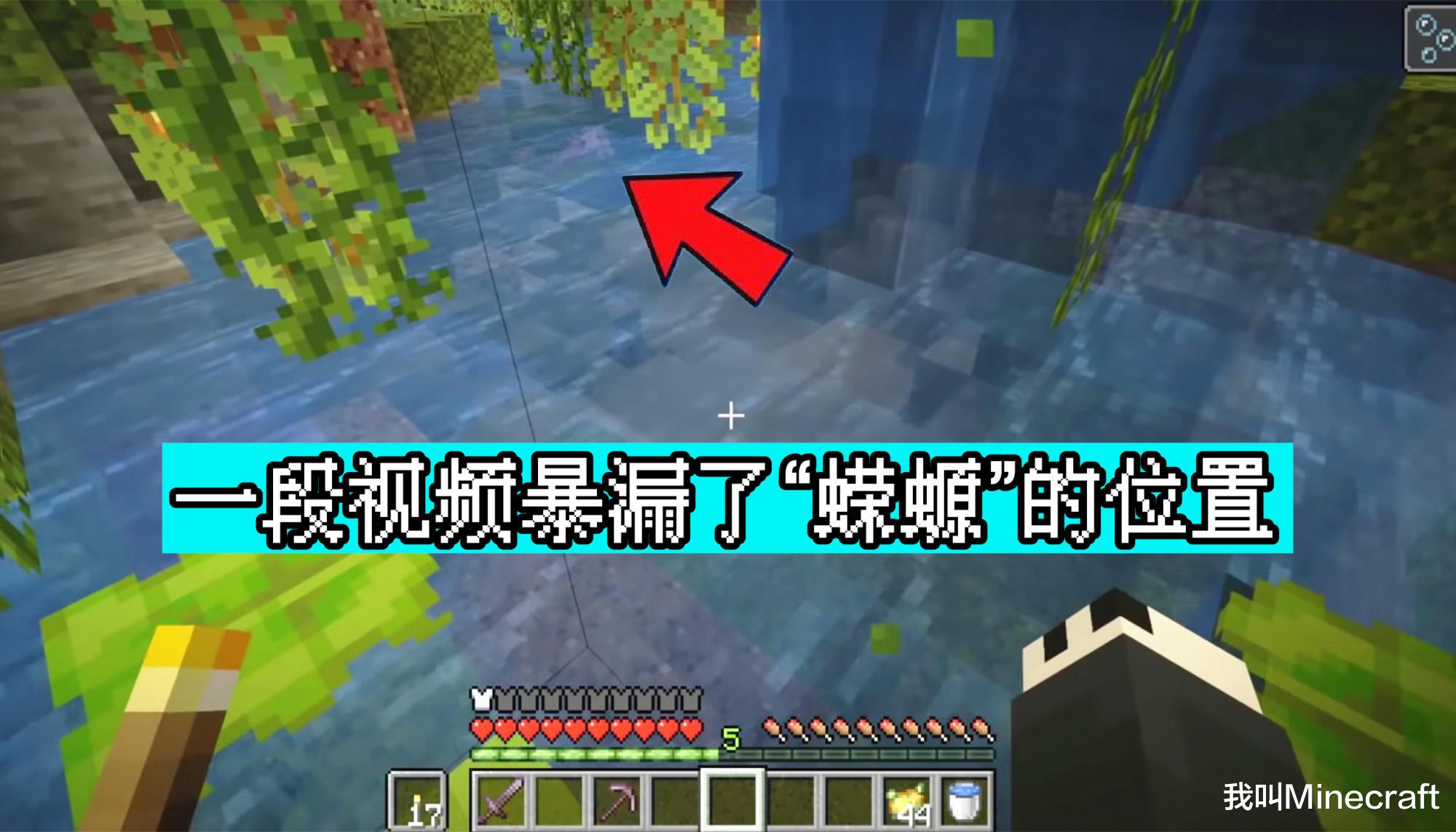 我的世界1.17蝾螈在哪里生成,我的世界1.17蝾螈生活在什么地方