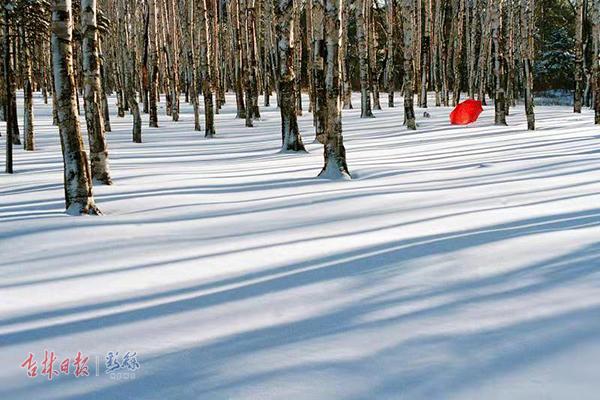 长春南湖公园太美了,长春南湖的景观