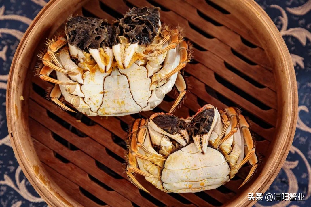 是公蟹的蟹膏多还是母蟹的蟹膏多,蟹膏是公蟹还是母蟹科普