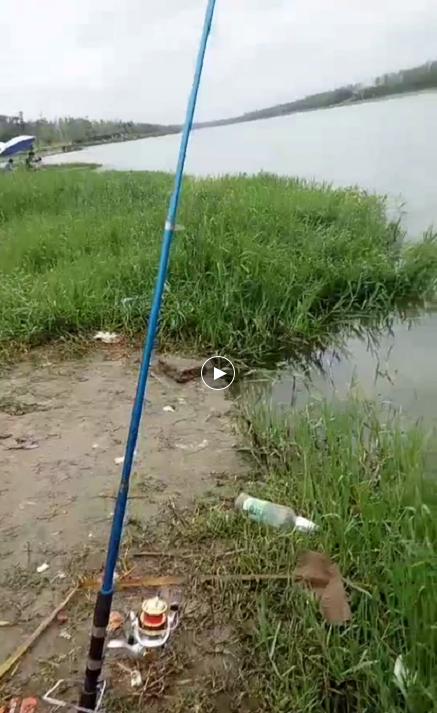 野钓4到6斤鲤鱼钩子选择,钓鲤鱼五斤左右鱼用几号新关东钩