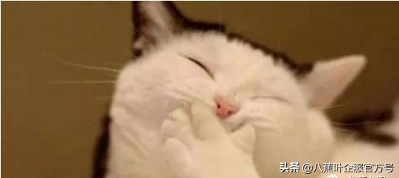 办公室美食照片素材,办公室里吃货视频