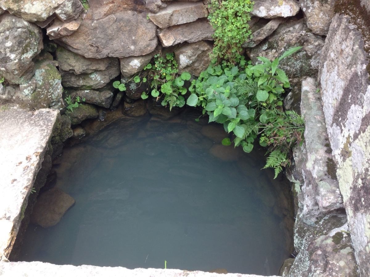 农药的正确使用方法有哪些,农药效果不好怎么给农户解释