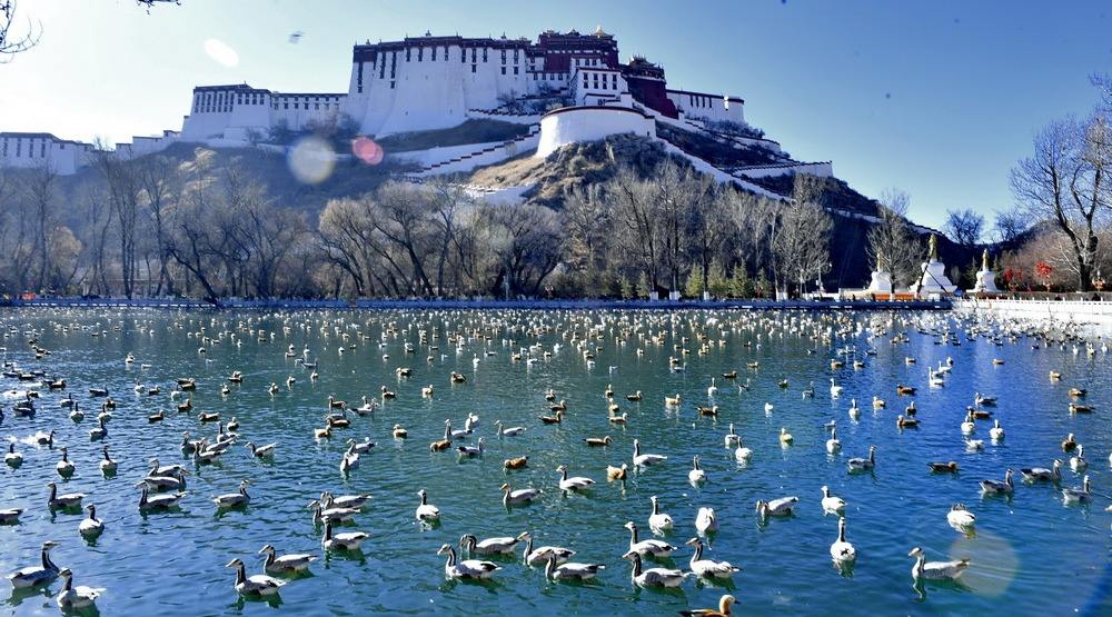 走川藏线进拉萨第一站，龙王的居住地——墨竹工卡