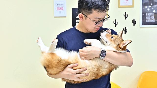 吸屁屁，短腿大耳肉嘟嘟，这家店进去就出不来了…