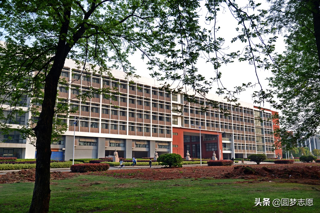 中国最好的高职院校排名榜,全国排名前十的专科高职院校