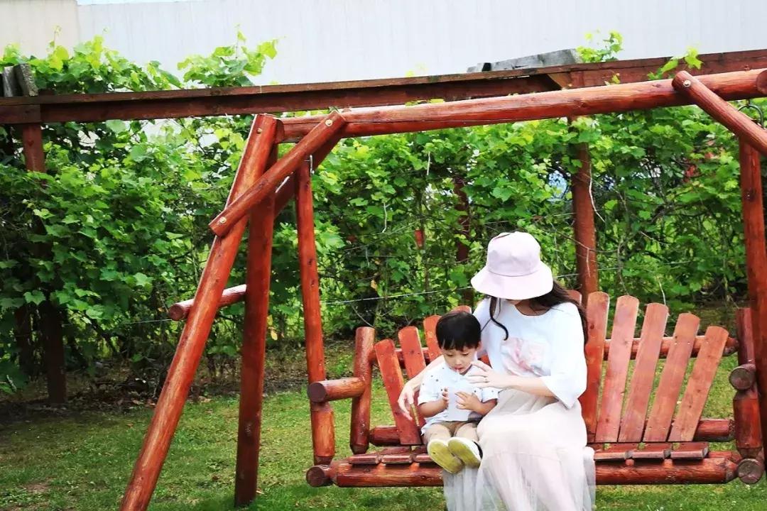 芝加哥南部旅游攻略图文,芝加哥附近旅游