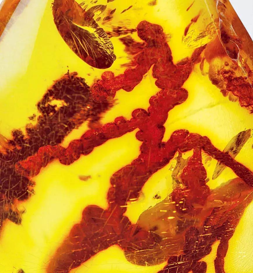 波罗的海琥珀融化,波罗的海琥珀俄罗斯料