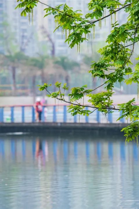 成都绿道被隔开,成都被3条路包围的楼盘