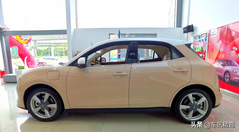 这有一只“好猫”登陆厦门，欢迎来“撸”